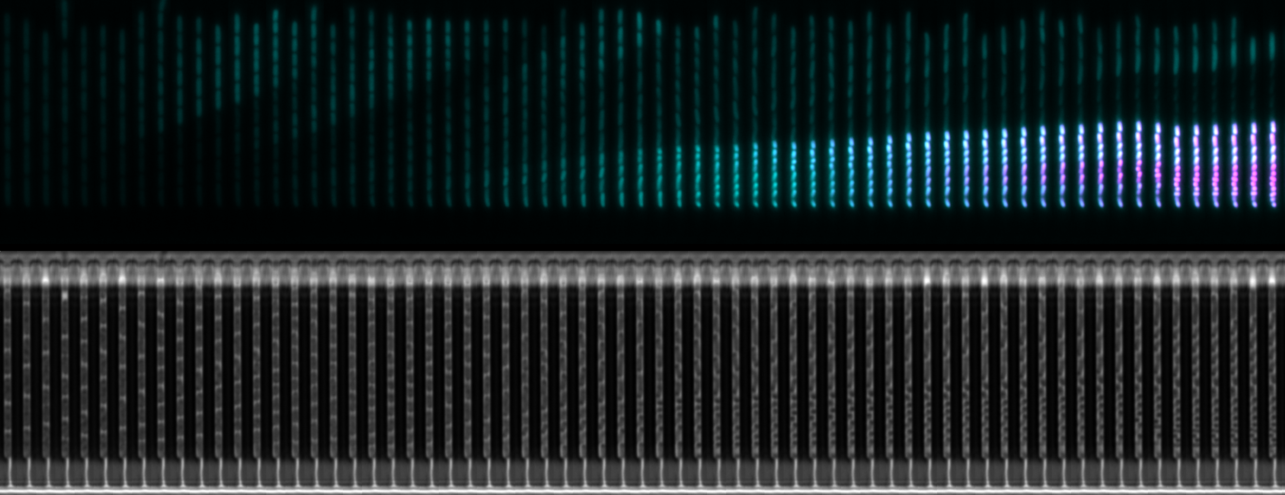 Dual reporter kymograph